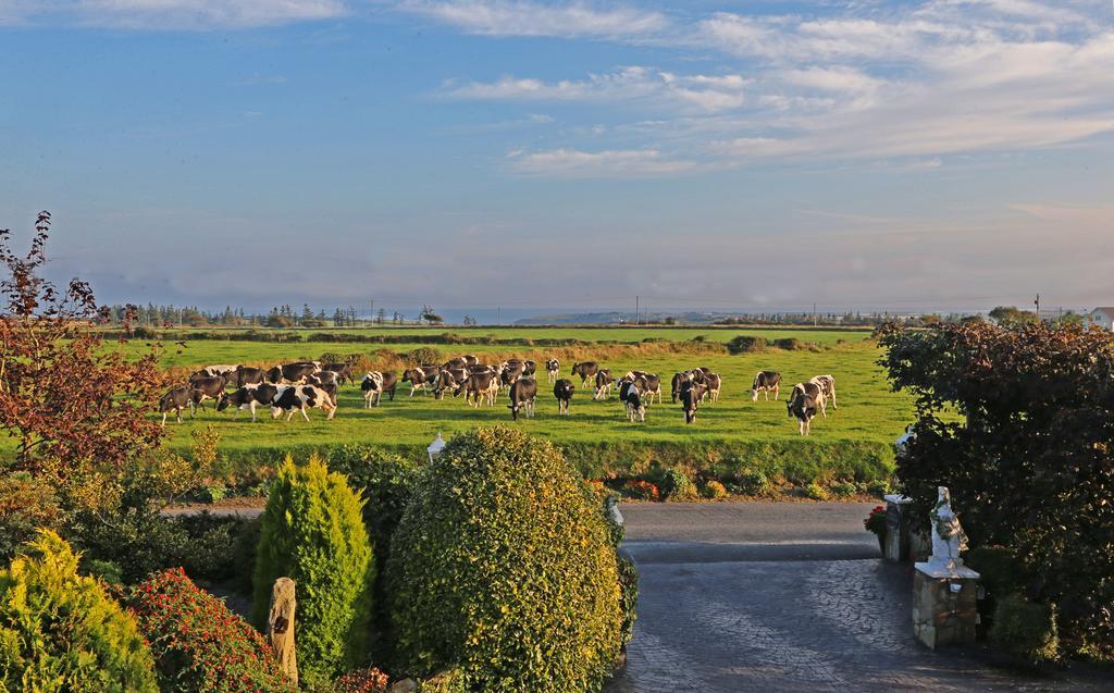 Newtown Farm Country House Ardmore  Exterior foto