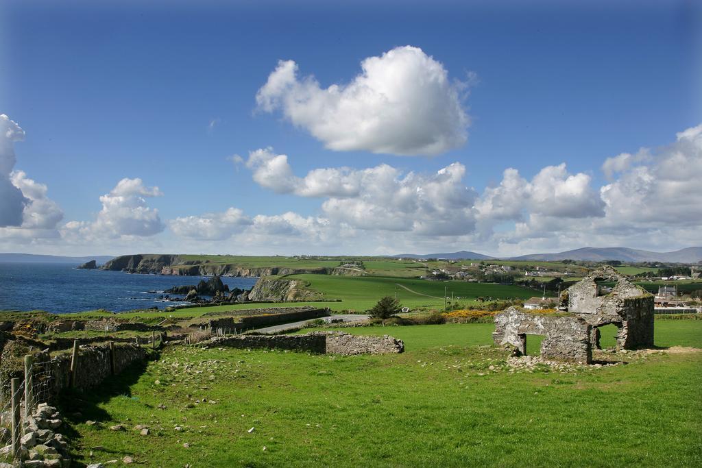 Newtown Farm Country House Ardmore  Exterior foto